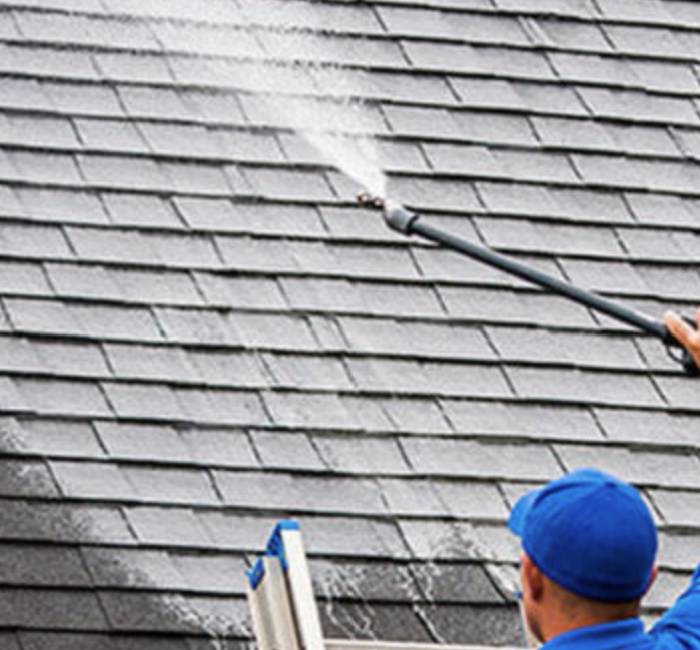 Safe & Effective Roof Cleaning Services in UK | Roof Techies