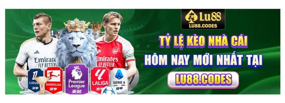 LU88 CODES Cover Image