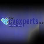 CV Experts Profile Picture