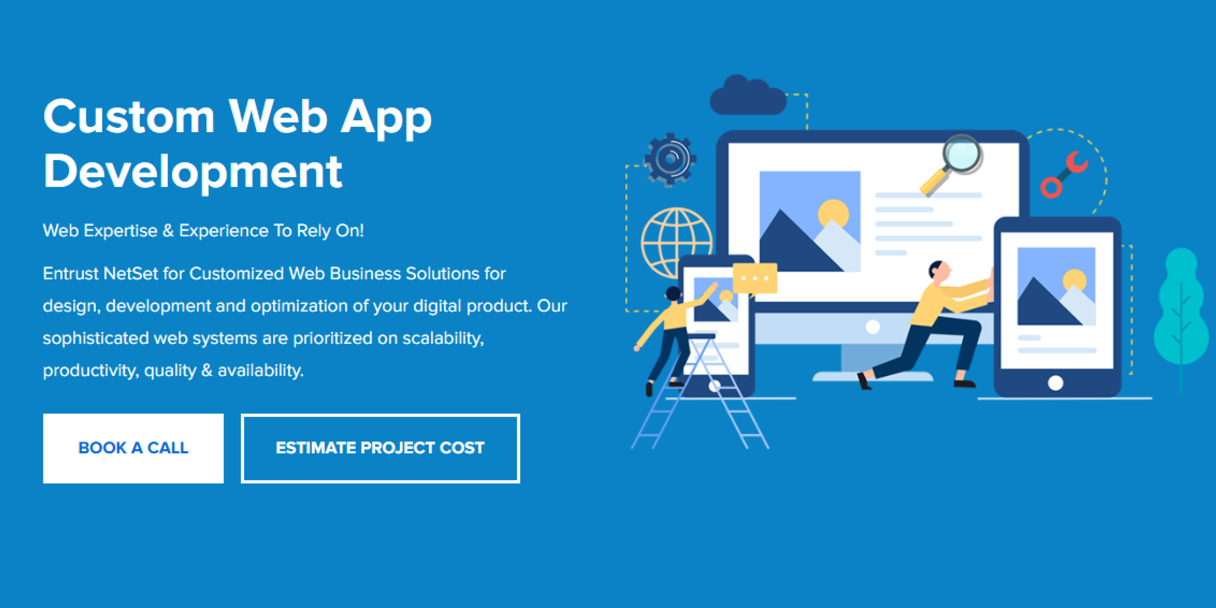 Top Custom Web App Development Company | Netset Software