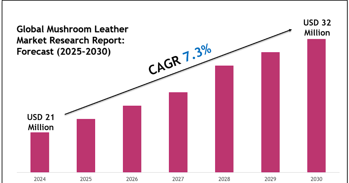 Mushroom Leather Market Size, Share, Trends & Forecast 2030