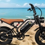 VICTRIP Ebike Profile Picture