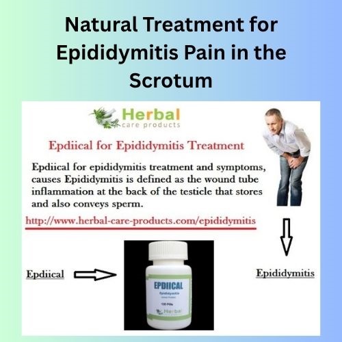 Natural Treatment for Epididymitis Pain in the Scrotum - Herbal Care Products - Blog