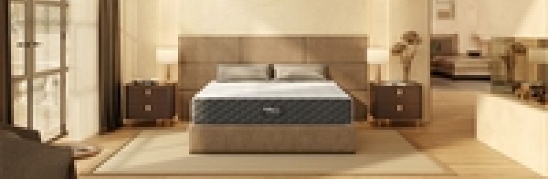 Sleep Cheap More Cover Image