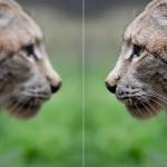 Enhance It Pro Profile Picture