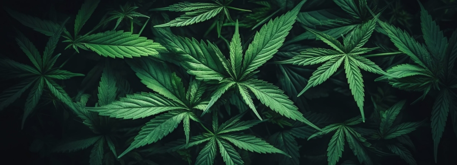 Green Life Cannabis Cover Image