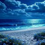 stussy world Profile Picture