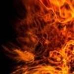 Karim Arjenyi Profile Picture