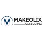 MakeOlix Consulting Profile Picture