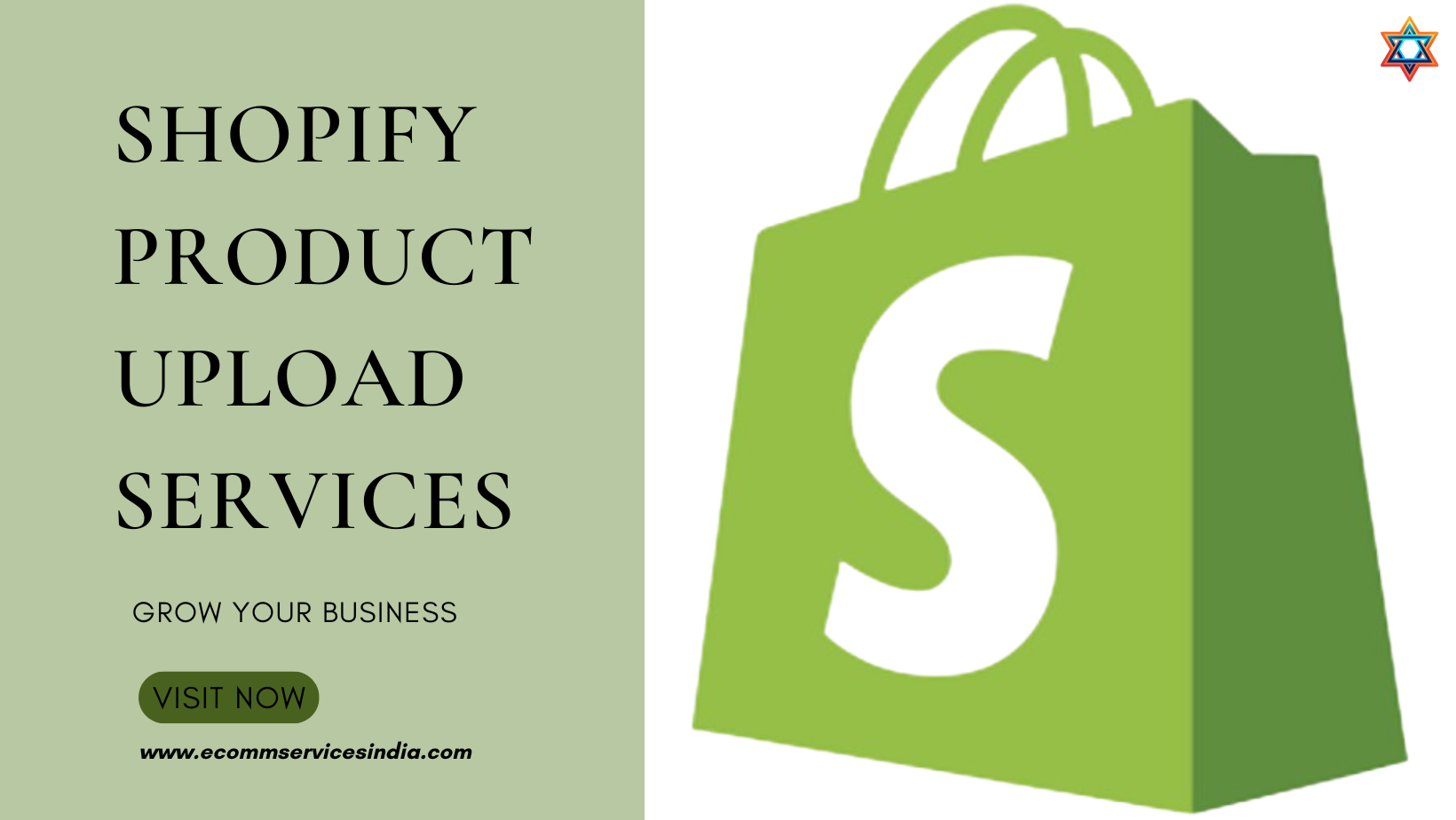 The Shopify Product Uprising: How Digital Ninjas Are Storming Your E-Commerce Empire – Ecomm Services India