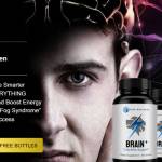 Koil koala Profile Picture