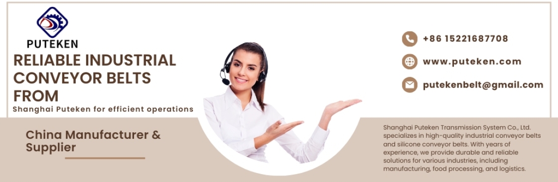 Shanghai Puteken Transmission System Co Ltd Cover Image