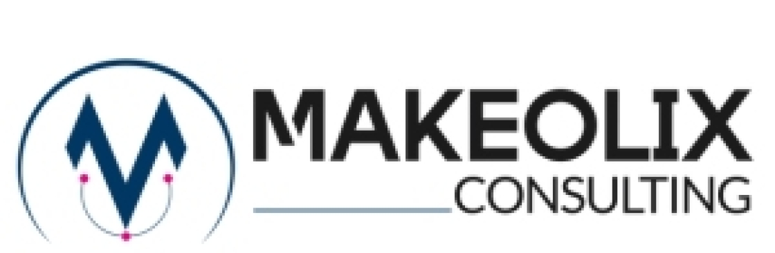 MakeOlix Consulting Cover Image