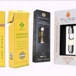 farya farya112 Profile Picture