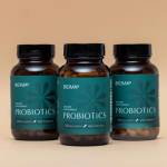 Kiok liujka Profile Picture