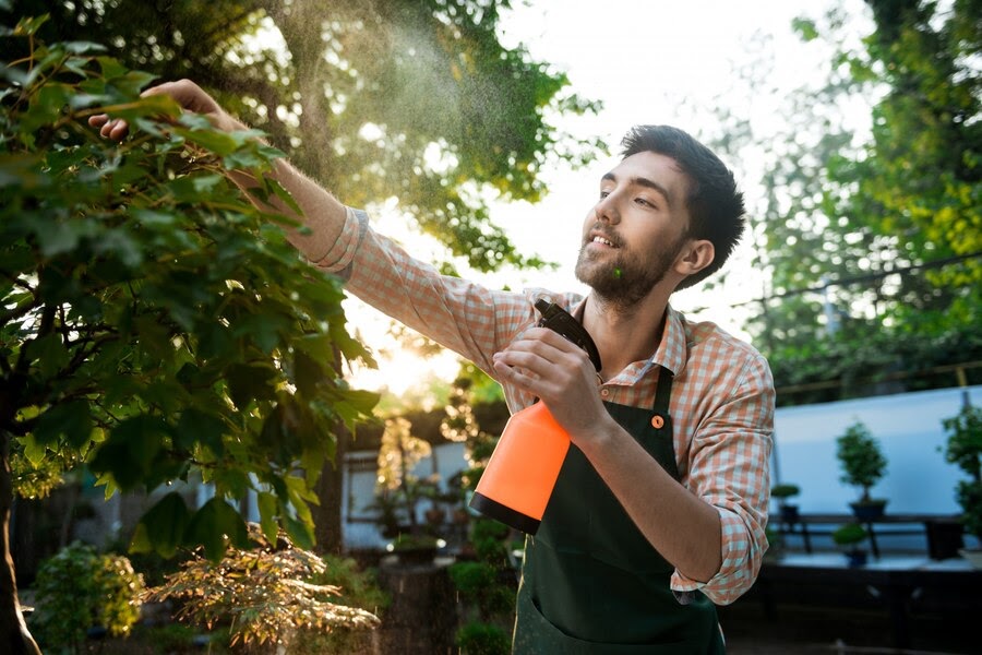 Expert Commercial Tree Surgeons in Belfast for Every Project