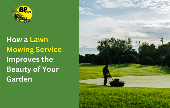 How a Lawn Mowing Service Improves the Beauty of Your Garden