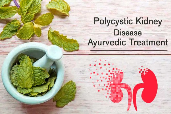Top 5 Remedies for Managing Adult Polycystic Kidney Disease Naturally - Herbal Care Products - Blog