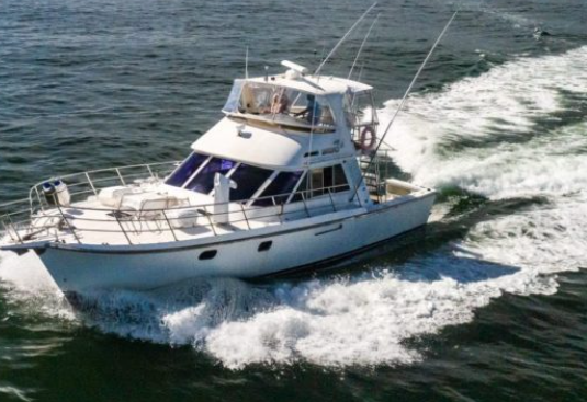 What makes Boat Hire in Manly the right choice for your next outing