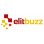 ElitBuzz Technologies Ltd Profile Picture