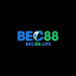 BEC88 Life Profile Picture