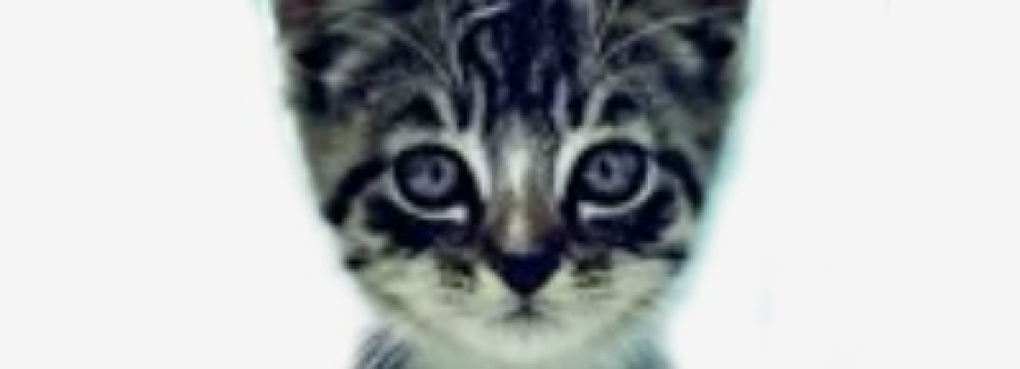 We Love Cats and Kittens Cover Image