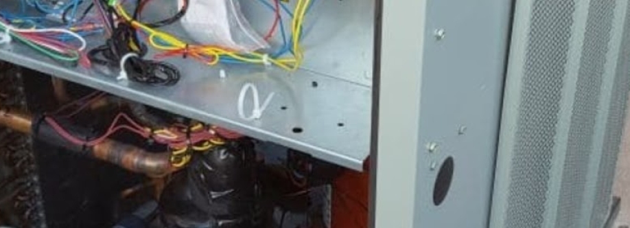 BIMS Inc Cover Image