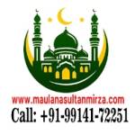 Sultan Mirza Profile Picture