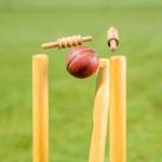 World Cup Profile Picture