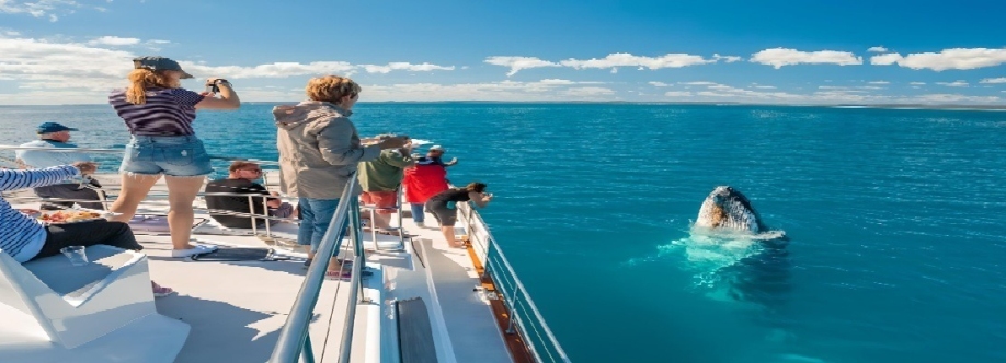 Freedom Ecotours Pty ltd Cover Image