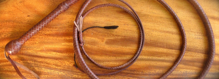 12 foot bullwhip Cover Image