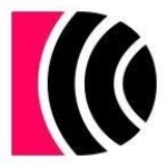 David Warner profile picture