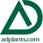Adplants uae Profile Picture