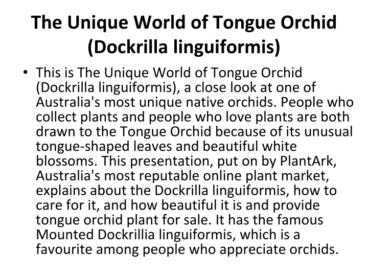 PPT - The Unique World of Tongue Orchid (Dockrilla linguiformis) PowerPoint Presentation - ID:14598062
