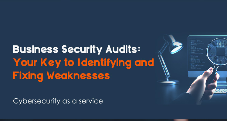 IT Networking infrastructure Cyber Security Audit Services expert consultant in Delhi India