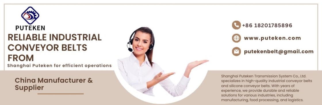 Shanghai Puteken Transmission System Co Ltd Cover Image