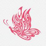 The Life Celebrant Profile Picture