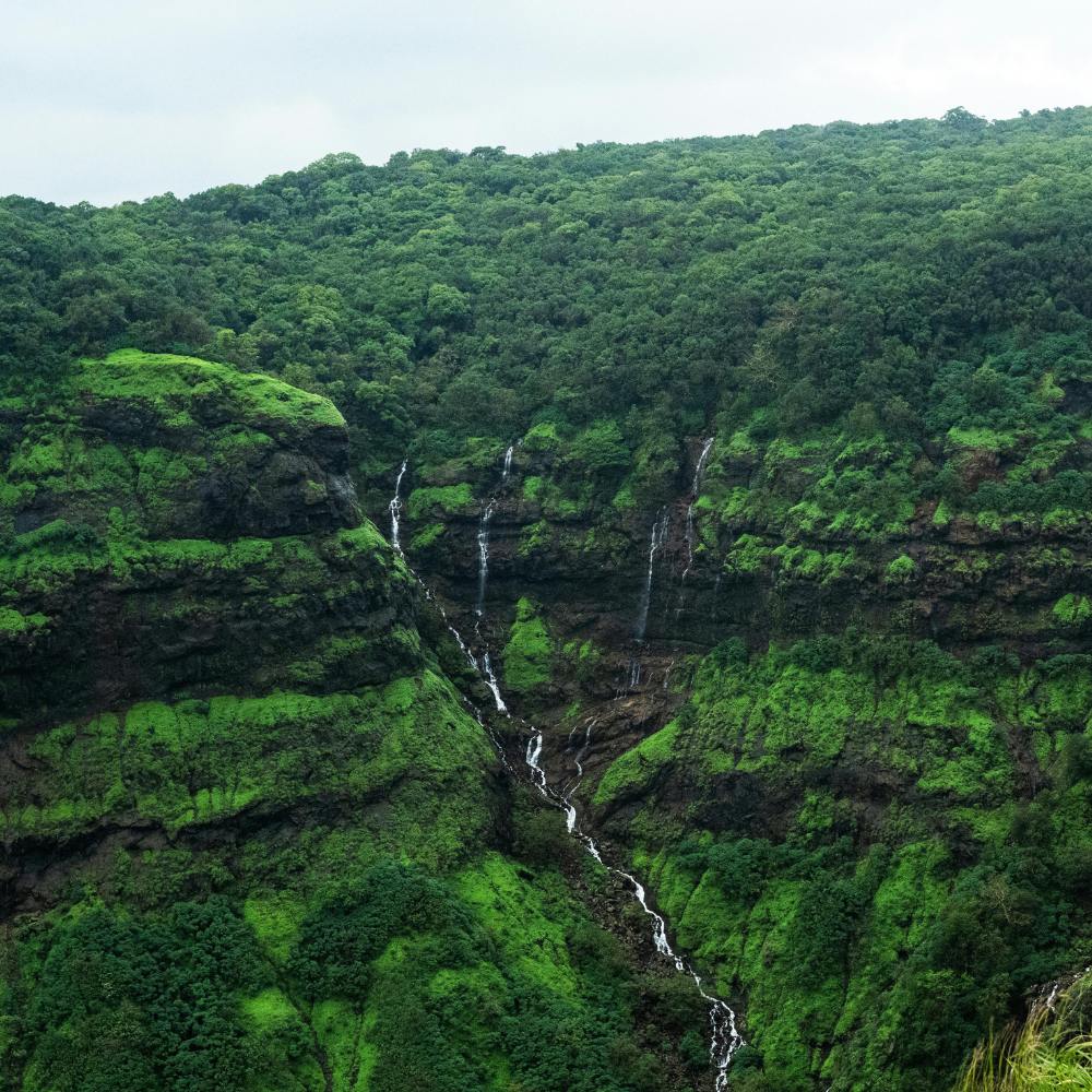 Best Hill Stations in Maharashtra for Nature Lovers