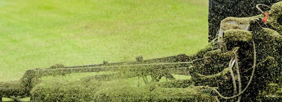 Sherratt Group Ltd Cover Image