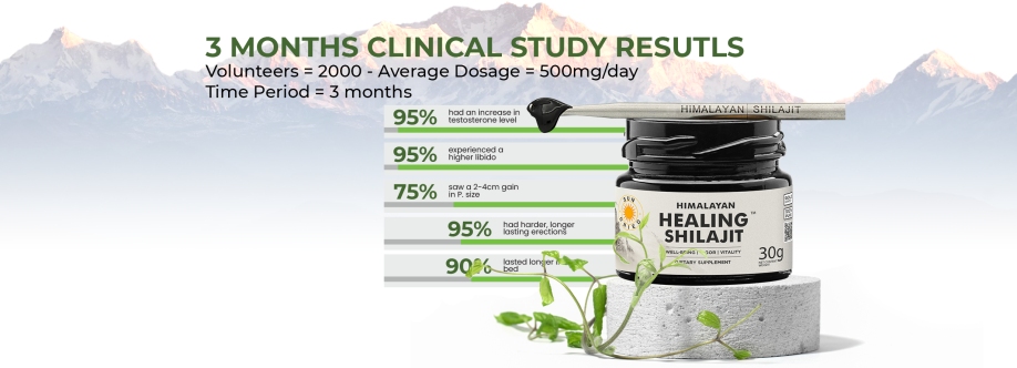 Healing Shilajit Cover Image