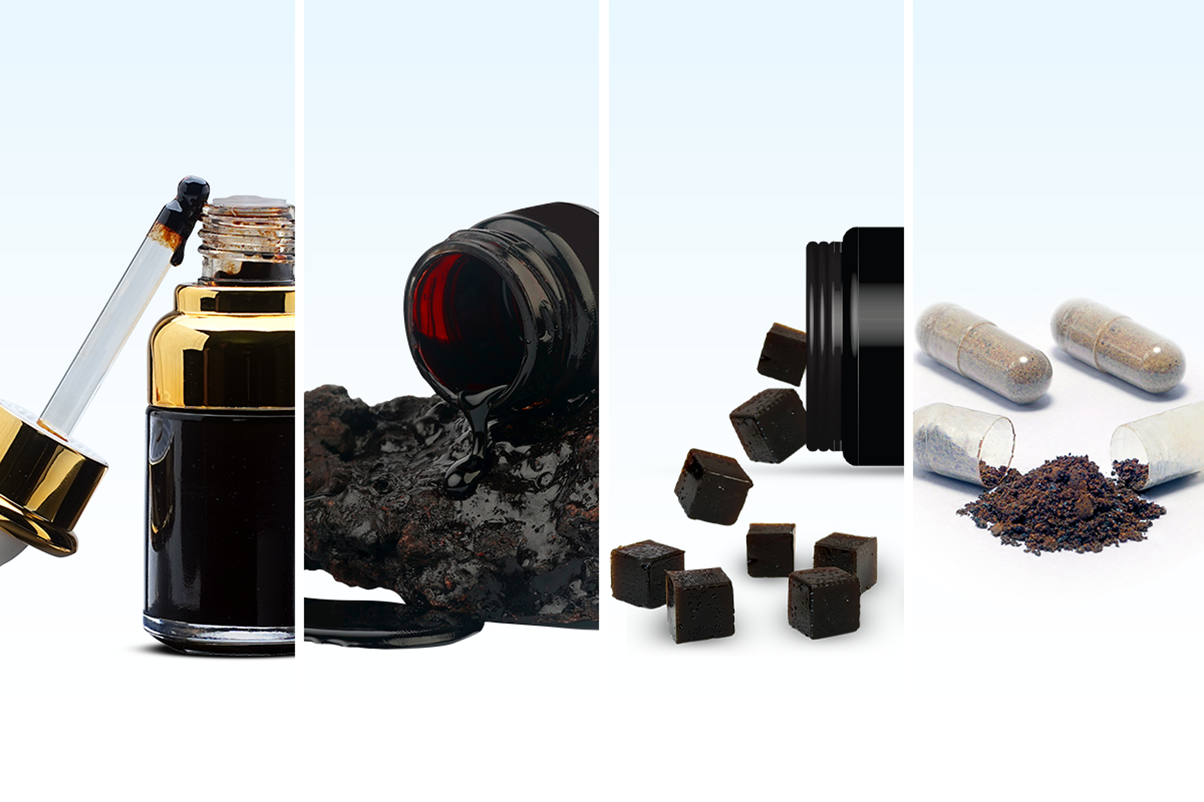 Which Type of Shilajit is Best? A Complete Guide   – Healing Shilajit