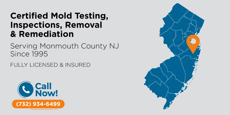 Mold Removal & Remediation Monmouth County, NJ | Mold Inspection & Testing