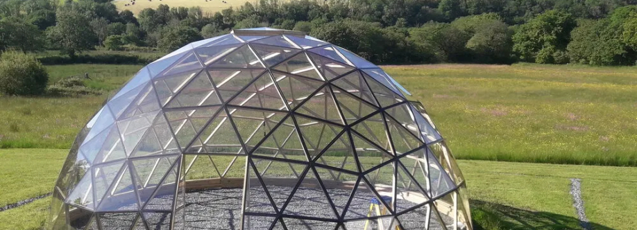 The Dome brothers Cover Image