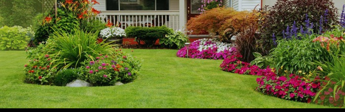 Insignia Landscape Cover Image