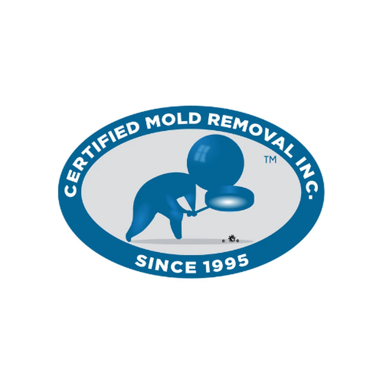 Mold Remediation vs Mold Removal: What’s the Difference? | Articles | Alisa Smith | Gan Jing World - Technology for Humanity | Video & Movie Streaming