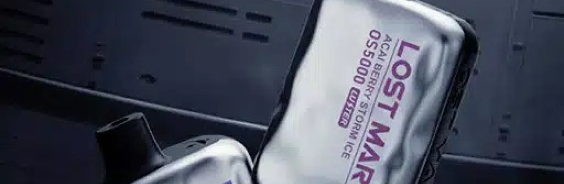 Lost Mary Luster Cover Image