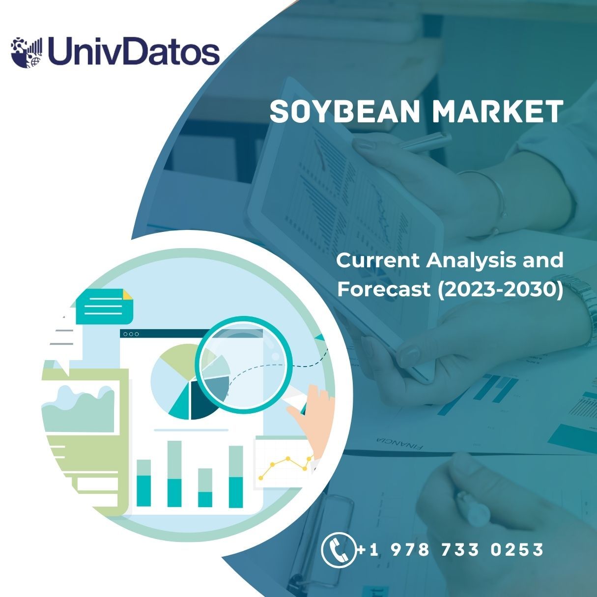 Soybean Market: Share, Size, Growth & Forecast to 2030