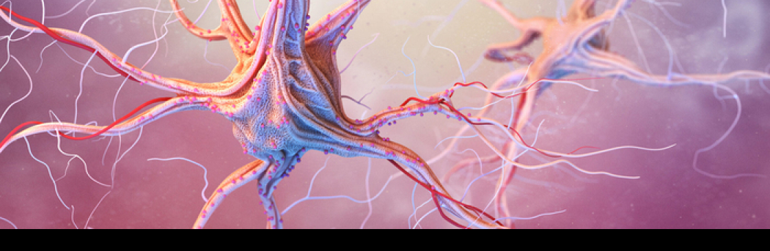 PsycH Testing Online Cover Image