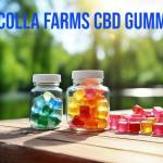 Tui kokla Profile Picture