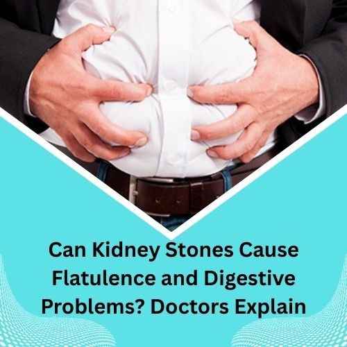 Can Kidney Stones Cause Flatulence and Digestive Problems? Doctors Explain - Herbal Care Products - Blog